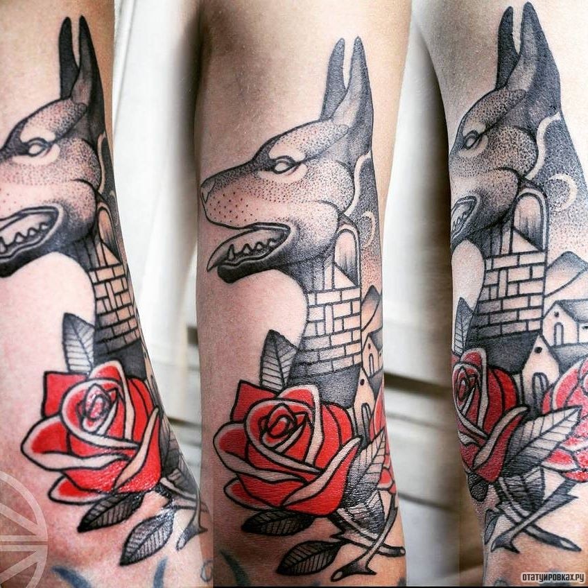 Фотография татуировки под названием «Доберман с розой»