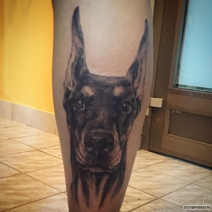 Фотография татуировки под названием «Доберман с длинными ушами»