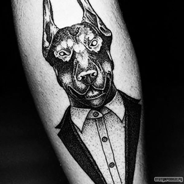 Фотография татуировки под названием «Доберман в пиджаке»