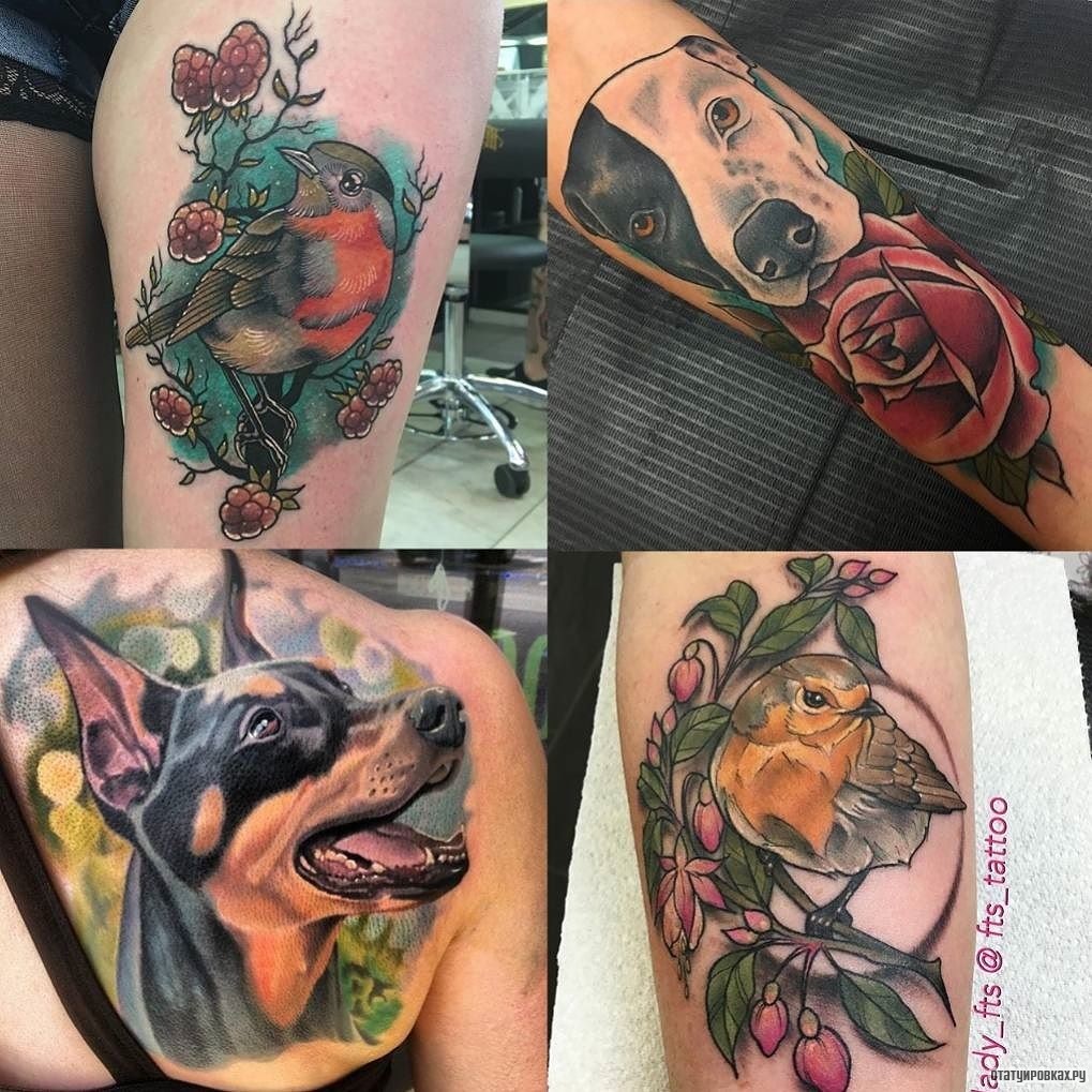 Фотография татуировки под названием «Доберман, птицы, роза, цветы»