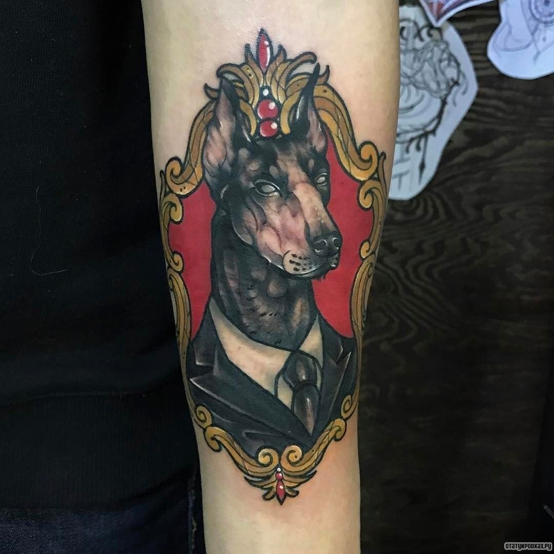 Фотография татуировки под названием «Доберман в виде портрета»