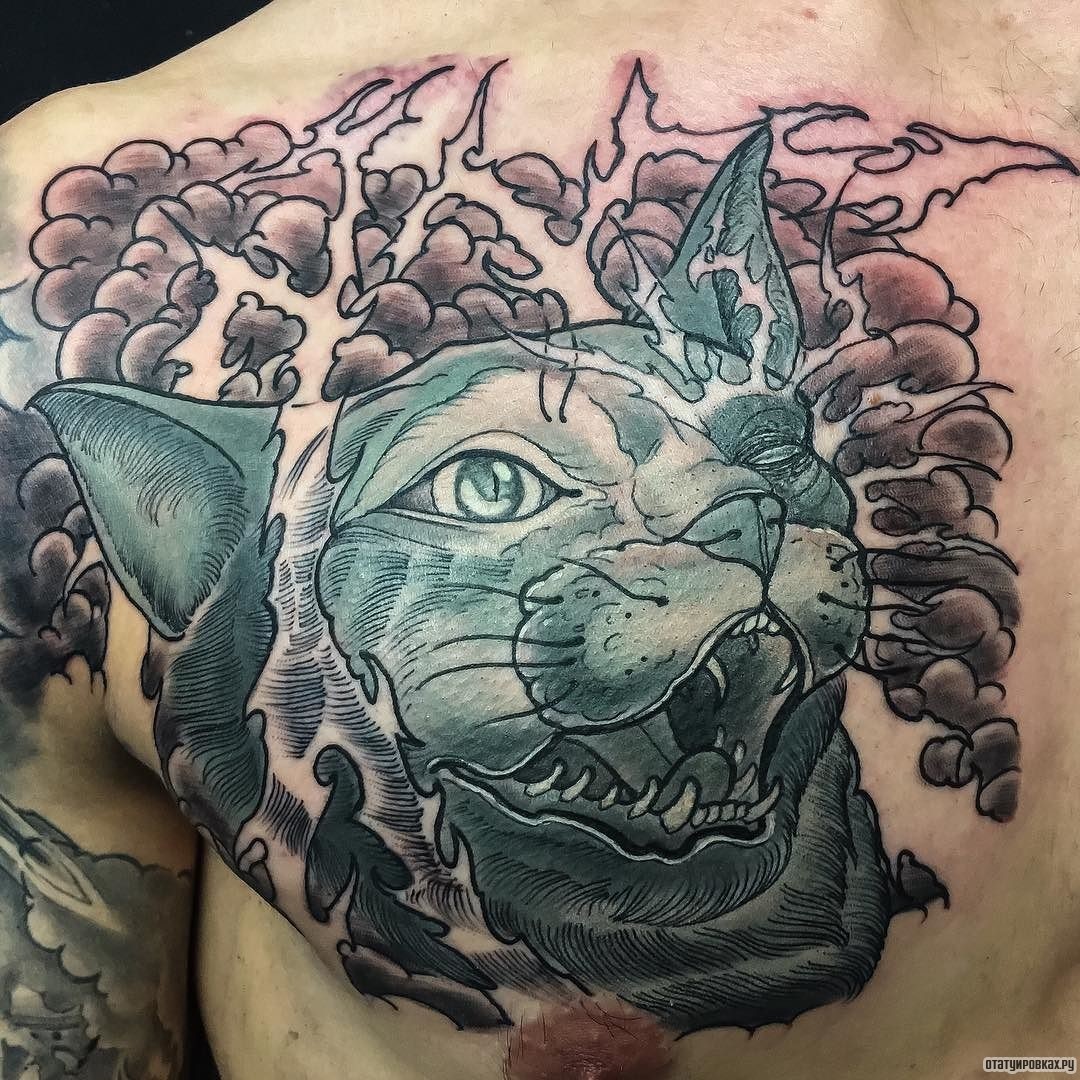 Фотография татуировки под названием «Молния с котом»