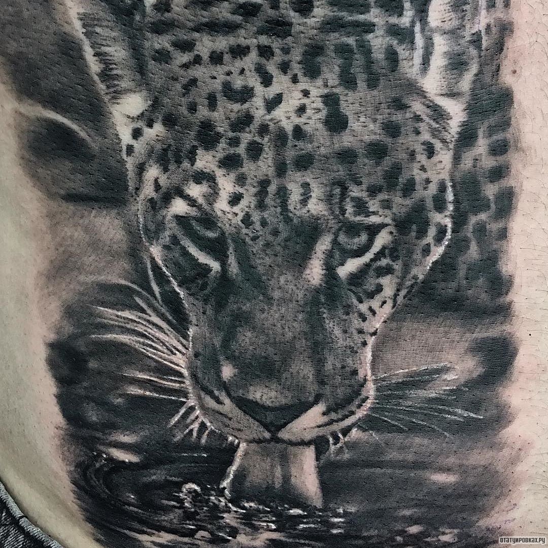 Фотография татуировки под названием «Леопард пьет воду»