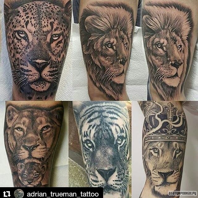 Фотография татуировки под названием «Леопард, лев, тигр»