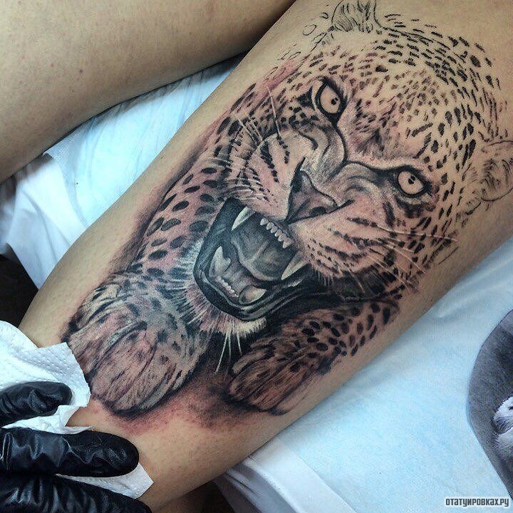 Фотография татуировки под названием «Леопард крадется»