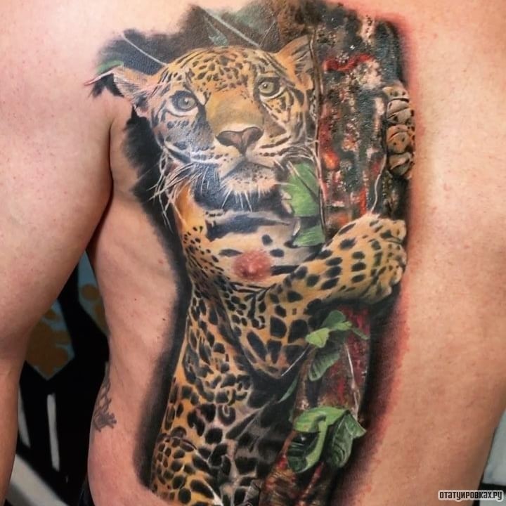 Фотография татуировки под названием «Леопард лезет по дереву»