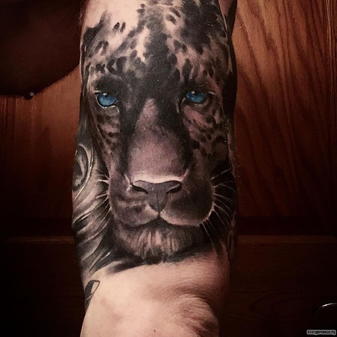 Фотография татуировки под названием «Леопард с синими глазами»