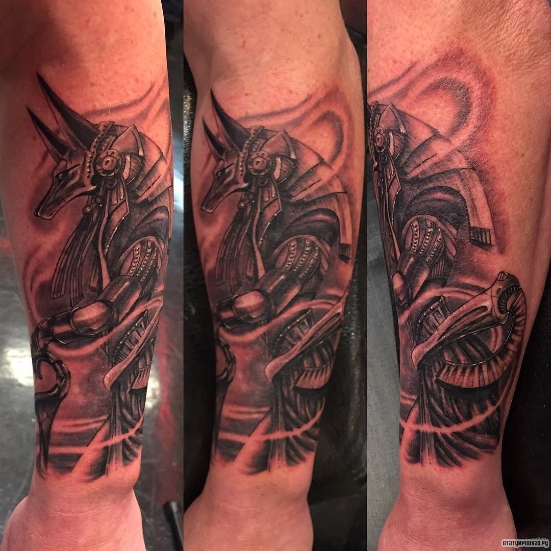 Фотография татуировки под названием «Анубис в темном исполнении»