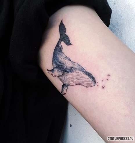 Фотография татуировки под названием «Небольшой кит»