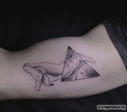 Фотография татуировки под названием «Кит с треугольником»