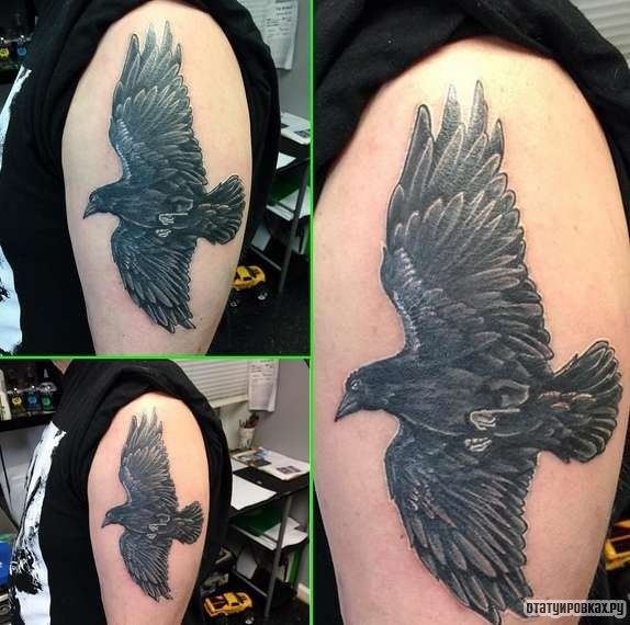 Фотография татуировки под названием «Ворон в полете»