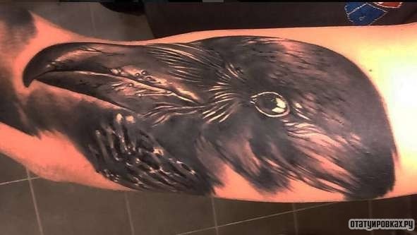 Фотография татуировки под названием «Большая голова ворона»