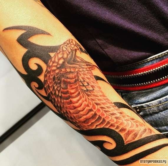 Фотография татуировки под названием «Кобра с узором трайбл»