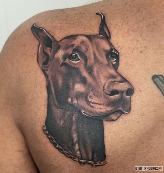 Фотография татуировки под названием «Портрет в память собаке»