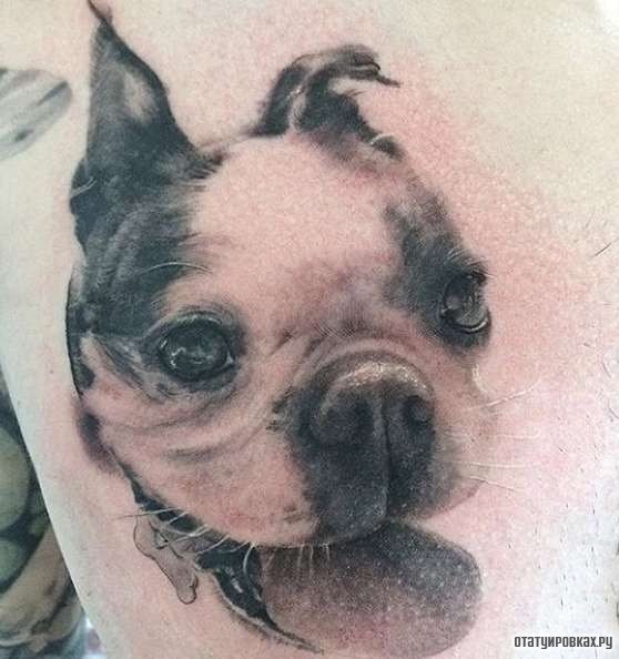 Фотография татуировки под названием «Портрет своего любимого пса»
