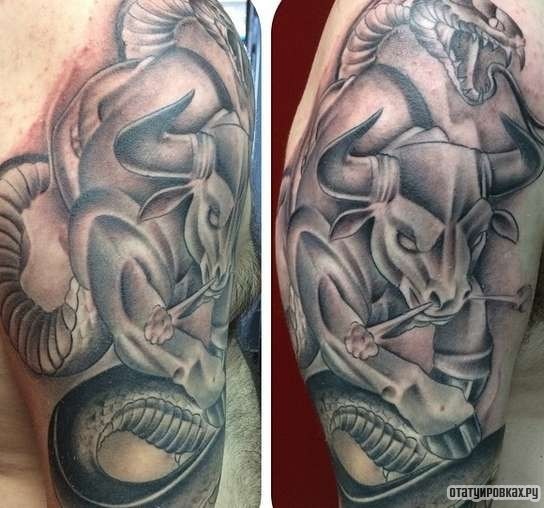 Фотография татуировки под названием «Бык со змеей»