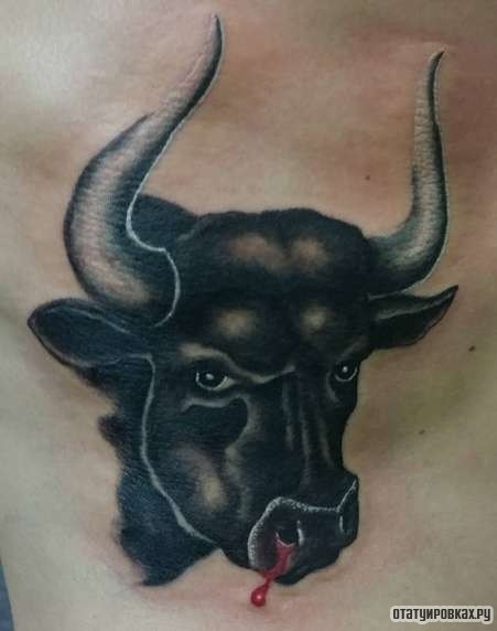 Фотография татуировки под названием «Бык с кровью из носа»