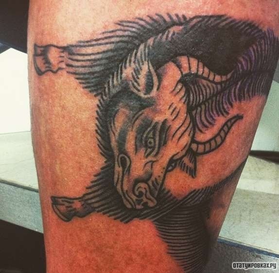 Фотография татуировки под названием «Бык - еще один вариант»