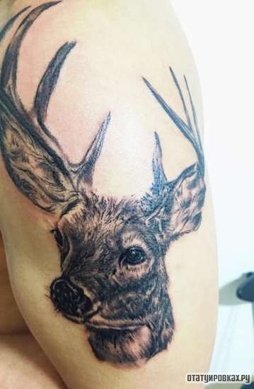 Фотография татуировки под названием «Морда оленя»
