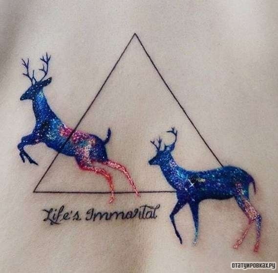 Фотография татуировки под названием «Два синих оленя с треугольником»