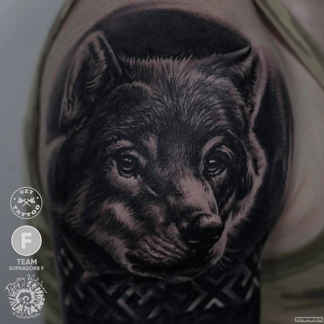 Фотография татуировки под названием «Морда доброго волка»