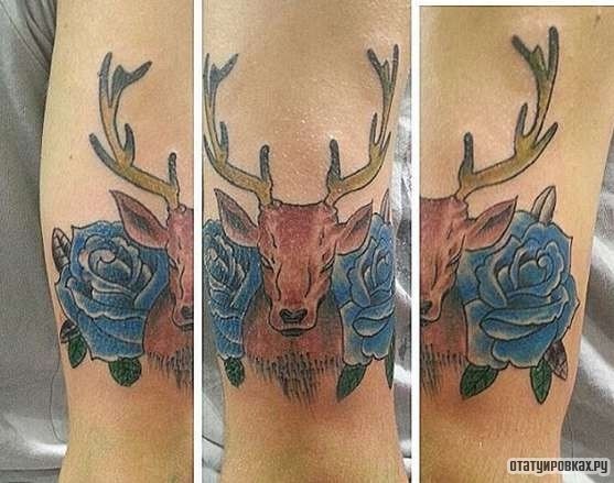 Фотография татуировки под названием «Олень с синими розами»