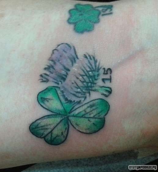Фотография татуировки под названием «Клевер с цветком»