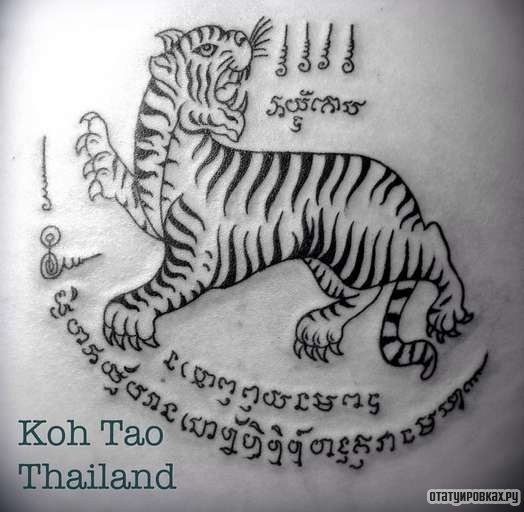 Фотография татуировки под названием «Ивритская татуировка тигра»