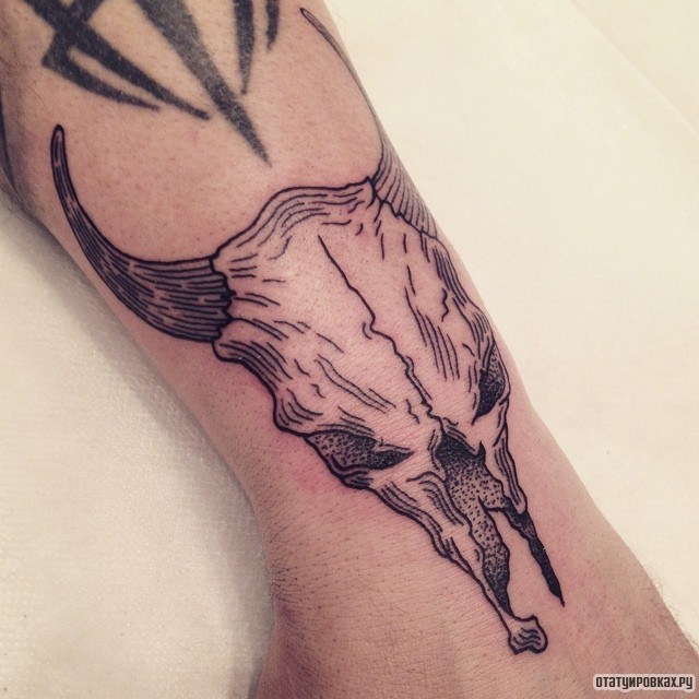 Фотография татуировки под названием «Череп рогатого скота»