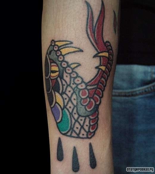 Фотография татуировки под названием «Пасть змеи»