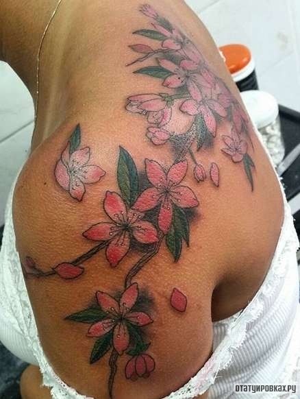 Фотография татуировки под названием «Цветки сакуры с листьями»