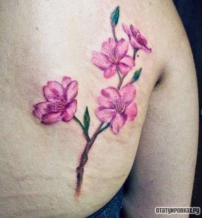 Фотография татуировки под названием «Яркая веточка сакуры»