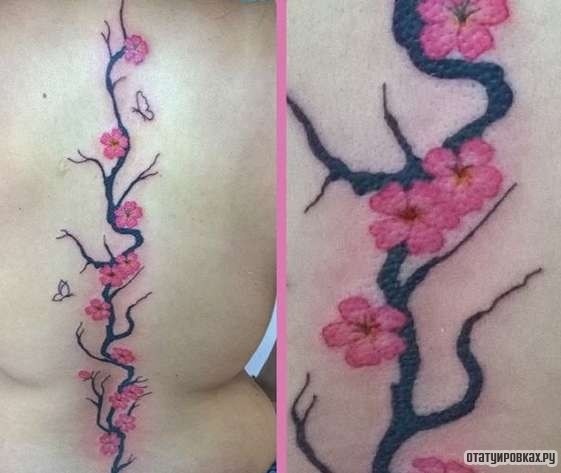 Фотография татуировки под названием «Длинная ветка сакуры»