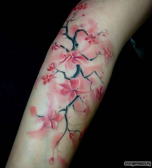 Фотография татуировки под названием «Розовая сакура»