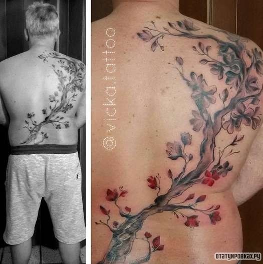 Фотография татуировки под названием «Толстая ветка сакуры»