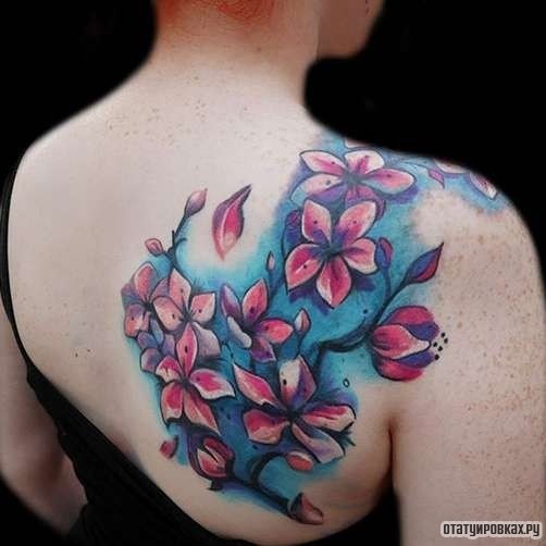 Фотография татуировки под названием «Цветки сакуры на голубом фоне»