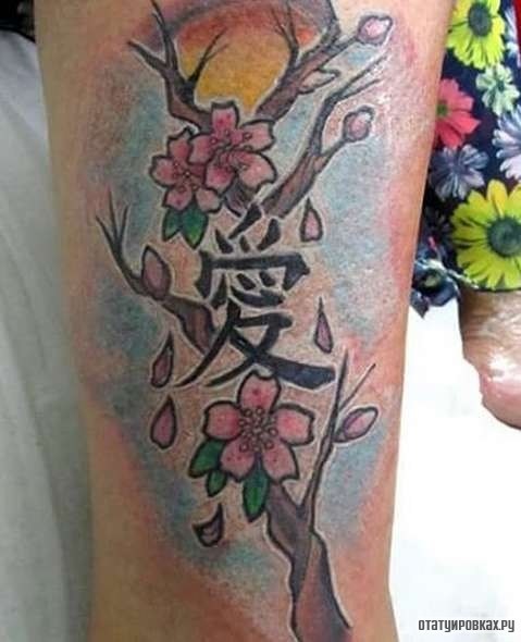 Фотография татуировки под названием «Сакура с иероглифами»