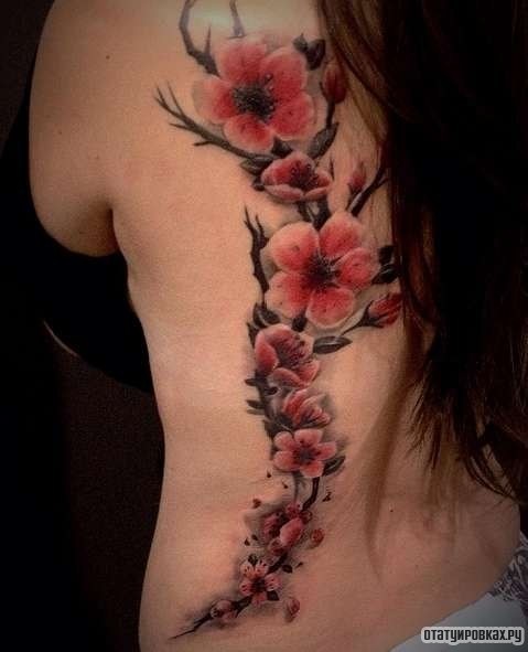 Фотография татуировки под названием «Нежные цветки сакуры»