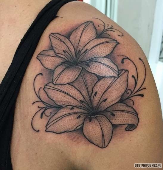 Фотография татуировки под названием «Лилии с четким контуром»