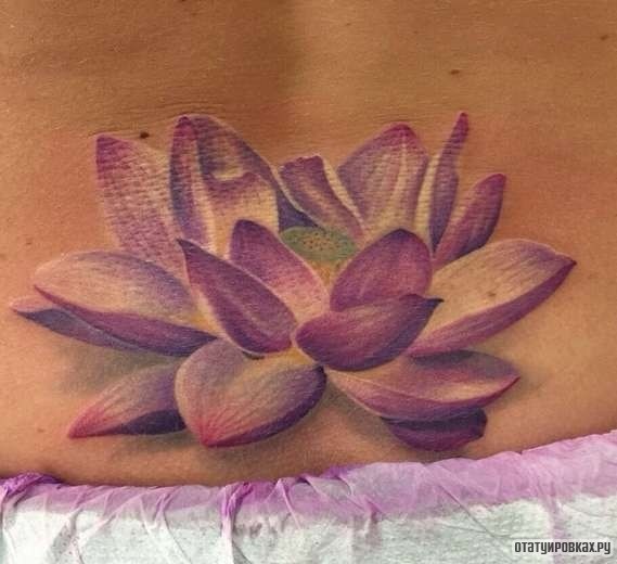Фотография татуировки под названием «Лотос с розовыми лилиями»