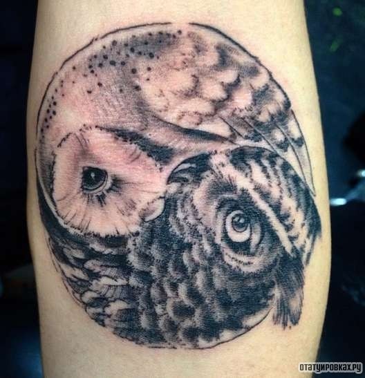 Фотография татуировки под названием «Инь-янь сова»