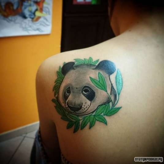 Фотография татуировки под названием «Панда в листьях»