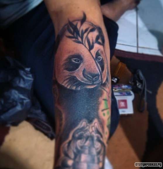 Фотография татуировки под названием «Панда ест траву»