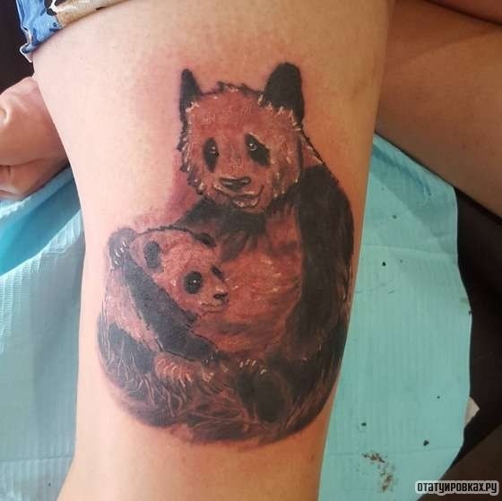Фотография татуировки под названием «Панда с детенышем»