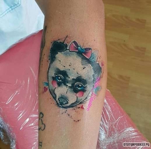Фотография татуировки под названием «Панда женского пола»