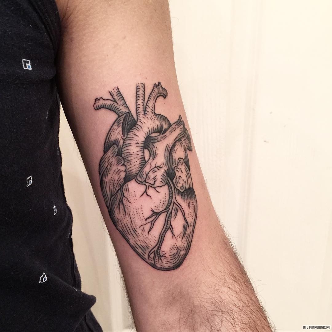 Фотография татуировки под названием «Человеческое сердце»