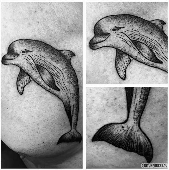 Фотография татуировки под названием «Дельфин в прыжке»