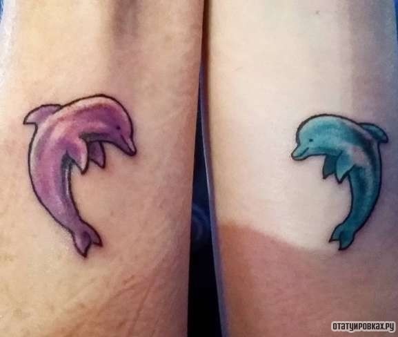 Фотография татуировки под названием «Голубой и сиреневый дельфины»