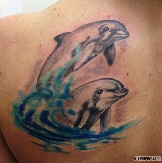 Фотография татуировки под названием «Два дельфина с волнами»