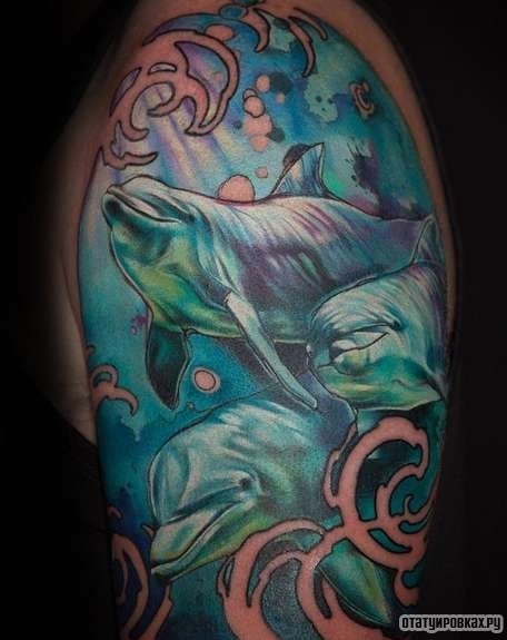 Фотография татуировки под названием «Три дельфина под водой»